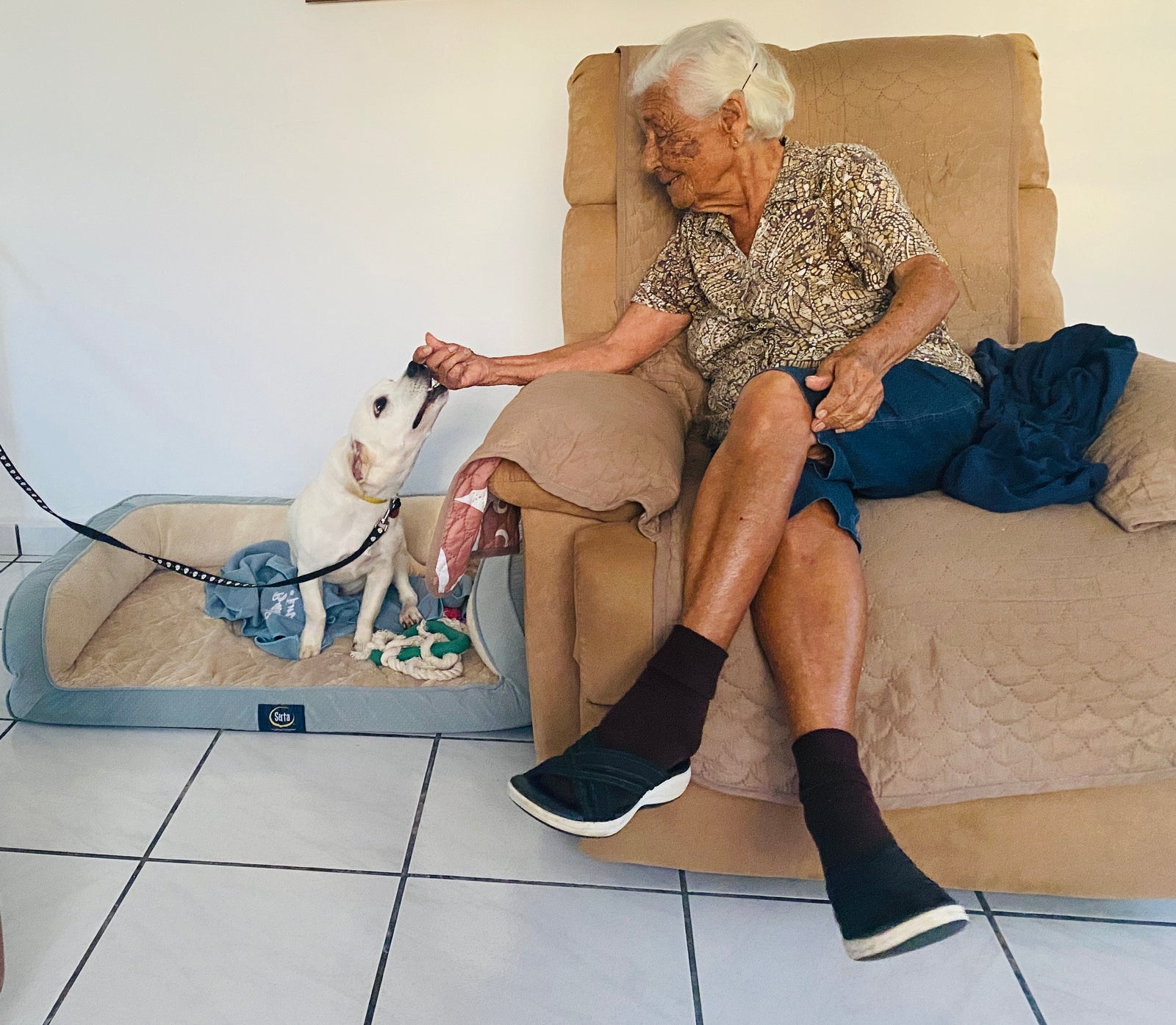 La alegría de tener una mascota 