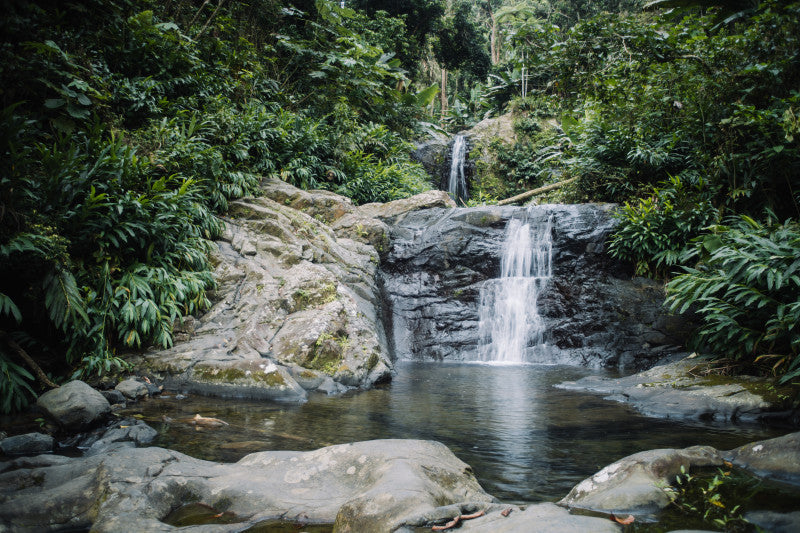 Renacer en una cascada en Ciales